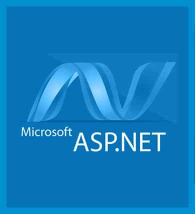 ASP.Net Development1