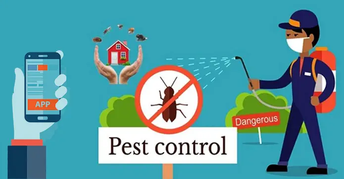 Pest Control Services